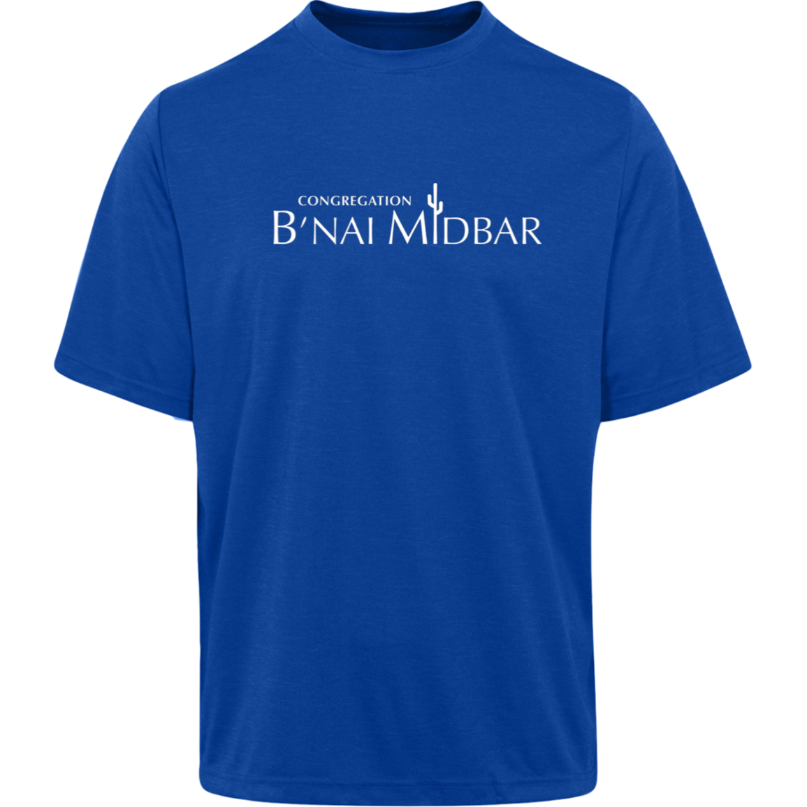 B'nai Midbar TT11H Team 365 Mens Sonic Heather Tee